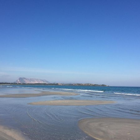 Hotel Al Faro Spiaggia La Cinta Santeodoro Сан-Теодоро Экстерьер фото