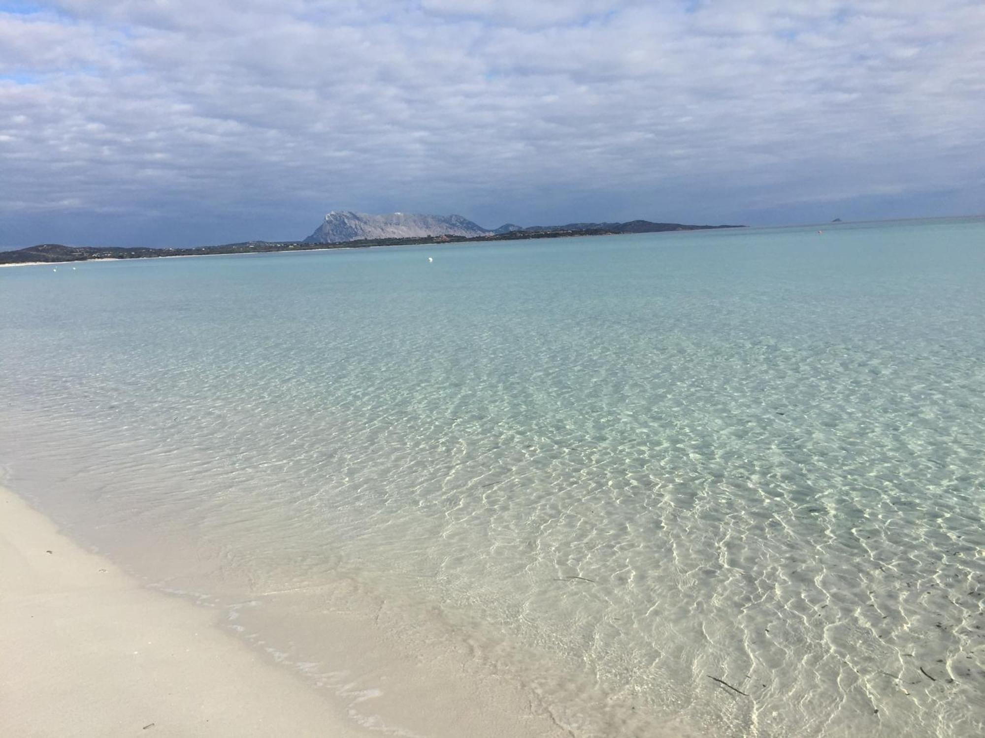 Hotel Al Faro Spiaggia La Cinta Santeodoro Сан-Теодоро Экстерьер фото